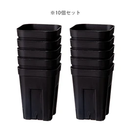 TUC Prestella Deep Pots 105 Slit Plastic Pots 10 Pcs