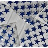 1000-2" x 2" 2020 Blue Star Zipper Lock Baggies Craft