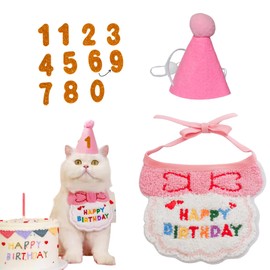 Duggyta Cat Birthday Pink Collar Set – Pink Party Collar, Hat & Numbers 0–9 – Adjustable Birthday Outfit for Small to Large Cats