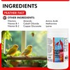 Morning Bird Feather Fast 16 Oz – Multi-Vitamin During Molt