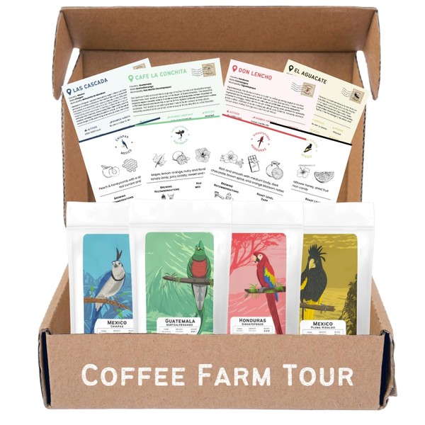 Canopy Point Coffee | Whole Bean Coffee | Coffee Bean