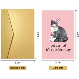 Obbyidk Funny Cat Birthday Card for Friend Family, Cute Birthday Card for Cat Lover, Get Excited It's Your Birthday