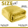 Lions Fleece Throw Blanket - 100% Polyester, Ultra Soft Faux