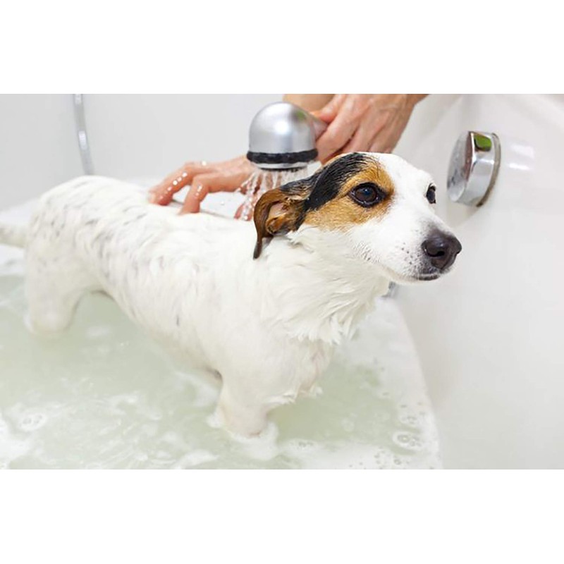 Greenbone Greenberry Lavender & Chamomile Pet Shampoo, 16.9 Oz