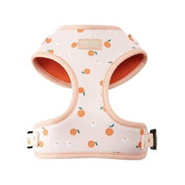 Wagging Tail Premium No Pull Dog Harness - Adjustable, Soft, Cute (Oranges, Medium) for Small to Large Dogs