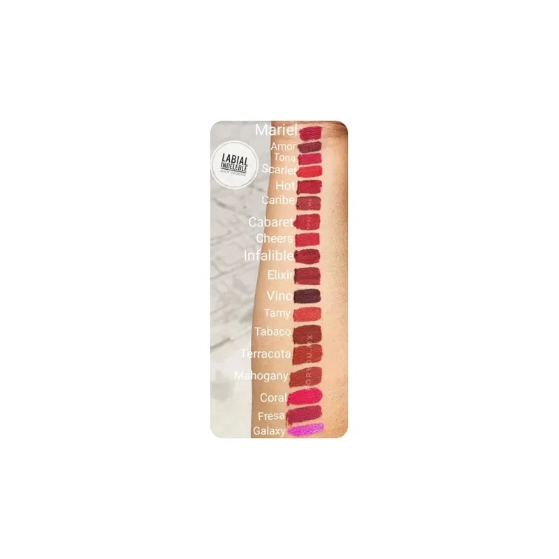 Labial Indeleble Organix Acabado Mate