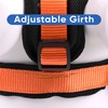 Pawtitas Pet Accessories Adjustable Padded Reflective Dog Harness, Step in