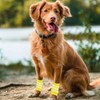Pet Leg Warmer Dog Socks, 4 Pieces, Cute, Stylish, Soft,