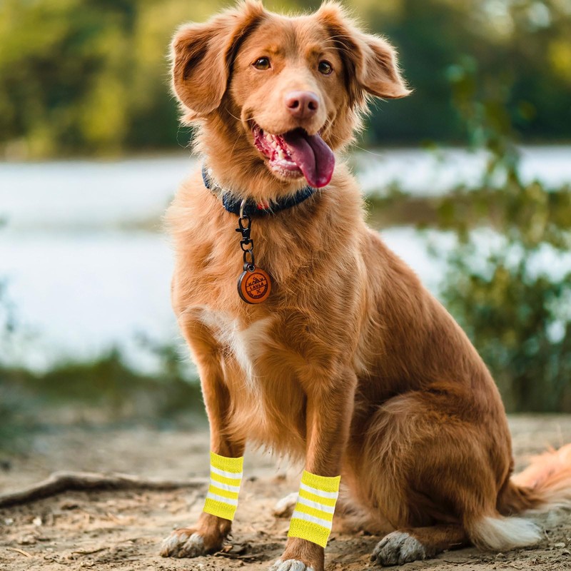 Pet Leg Warmer Dog Socks, 4 Pieces, Cute, Stylish, Soft,