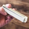 Professional Mouthorgan Harmonica Diatonic Harp C Key Stainless Steel Cover