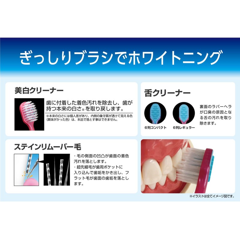 Ebisu Premium Care Teeth Whitening, 6 Row Regular, Normal, Set