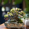 MUZHI 9.5” Rectangular Ceramic Rustic Bonsai Planter Pots with Drip