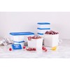 Amuse Fresh Storage Box Set Alaska, 3 x 1200ml freezer