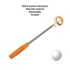 Golf Ball Retriever Telescopic Ball Picker Stainless Steel 8 Sections