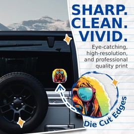 (2 Pack) Bloodhound Dog Stickers - Bloodhound with Sunglasses - Choose FromOver 100 Dog Breeds - 5 Inches On Longest Side - Premium Vinyl - Made in USA - BMCS0320