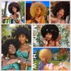 BESSY HAIR 70s Afro Wigs for Black Women, 27 Curly