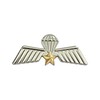 Netherlands Parachutist Foreign Jump Wings, Brite