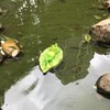 Ruerlity Floating Frog on Leaf for Garden Pond Decor Swimming