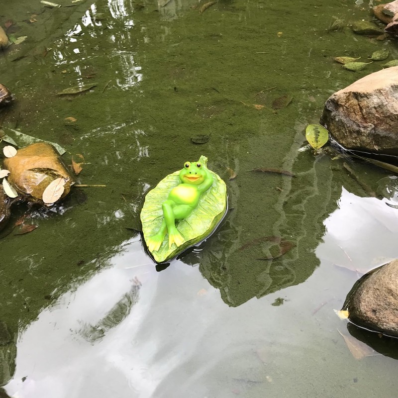 Ruerlity Floating Frog on Leaf for Garden Pond Decor Swimming