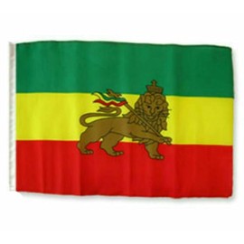 12x18 12"x18" Ethiopia Lion Sleeve Flag Boat Car Garden (premium polyester)