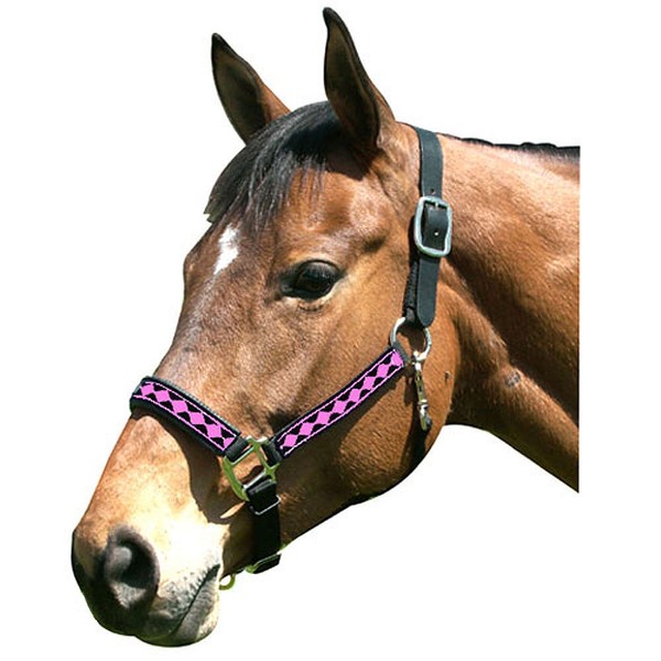Intrepid International Leather Crown Diamond with Padded Nose Halter, Black/Neon