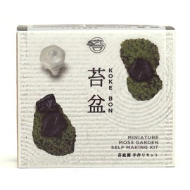 SEISHIN TOUGEI Moss Garden Kit