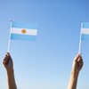 Runesol 12 Pack Hand Held Argentina Flags, 14cm x 21cm,