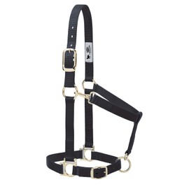 Weaver Leather Basic Adjustable Nylon Halter, Black, 1" Large Horse