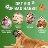 JYTDBCS Anti-bite dog muzzle Mesh cloth breathable anti-barking anti-eating pet