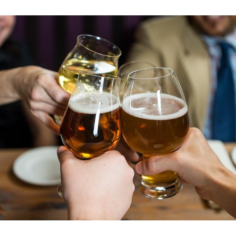 Luigi Bormioli Birrateque 17 oz Cider Beer Glasses (Set of