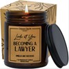 Lawyer Graduation Gifts for Women Men | Law Office Decor