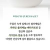 유기농 컬리케일분말 동결건조 곱슬케일 가루 파우더, 50g, 2개 Organic Curly
