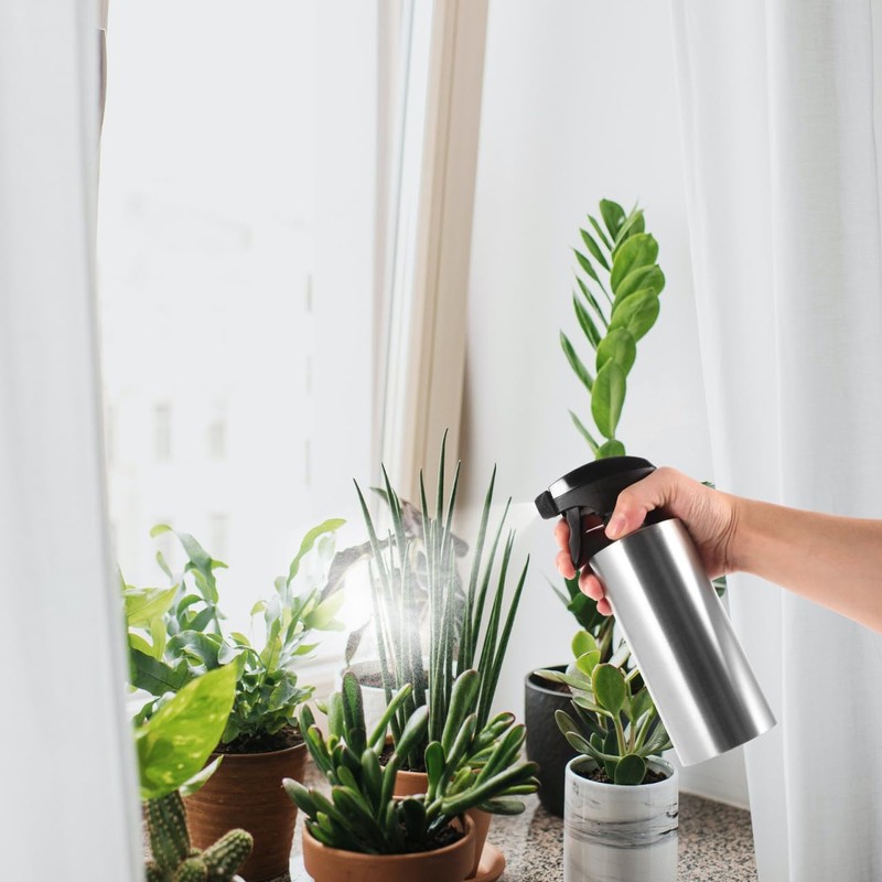 Stainless Steel Watering Can Spray Bottle Vintage Hand Pressure Sprayer