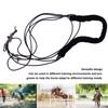 Adjustable Horse Training and Lunging Aid Horse Lunging Training Aid
