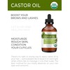 Velona USDA Certified Organic Castor Oil - 4 oz (With