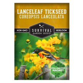 Native Lanceleaf Tickseed Seeds for Planting (Coreopsis Lanceolata) | Golden Yellow Blooms | Heat & Drought Tolerant Wildflower - Survival Garden Seeds - 1 Pack