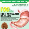 Probiotics for Dogs, 120 Chews, Pre & Probiotic Supplements for