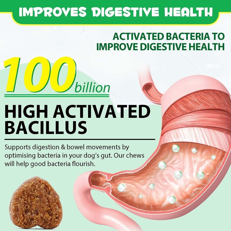 Probiotics for Dogs, 120 Chews, Pre & Probiotic Supplements for