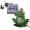 Gargoyle Frog 16 cm with Ceramic Solar Pump for Mini