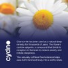 Cydno Chamomile Tea - Tea to Relax Mind & Body