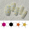 4Pcs Nail Dotting Tool Set,6-In-1 Circular Dotting Tools for Professional