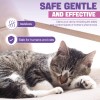 TTLXRL 6 Pack Cat Calming Diffuser Refill Set with Pheromones