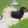 Cute Tutu Dress for Dogs - Stylish Easter Fashion for
