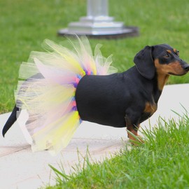 Cute Tutu Dress for Dogs - Stylish Easter Fashion for Puppies & Small Dogs
