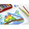 FABER-CASTELL 201597 - Buntstifte Set Colour Grip dreikant, 24-teilig, inkl.