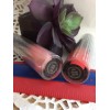 beauticontrol VIVID COLOR LIP GLOSS (TIGERLILY & Berry Red Set