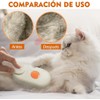 2PCS Steamy Cat Brush,cepillo De Vapor Para Gatos, Cepillo De