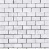Stone Center Online C63XT Non Slip Shower Tile Carrara White