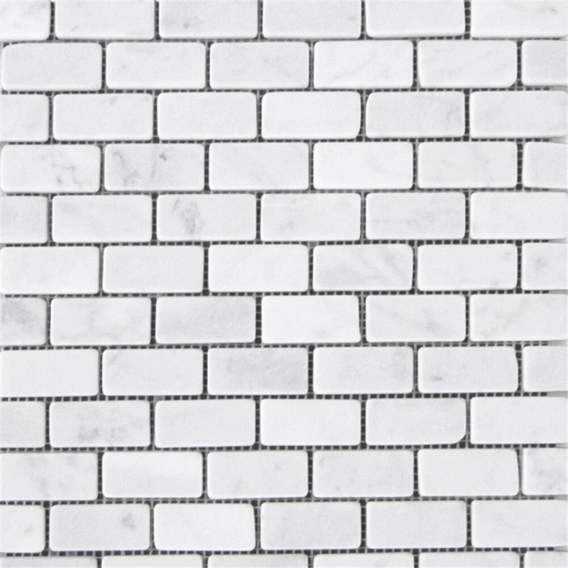 Stone Center Online C63XT Non Slip Shower Tile Carrara White