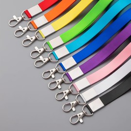 Cruise Lanyard for Ship Cards, 12 Pack, Lanyards with ID Holder, Colorful
